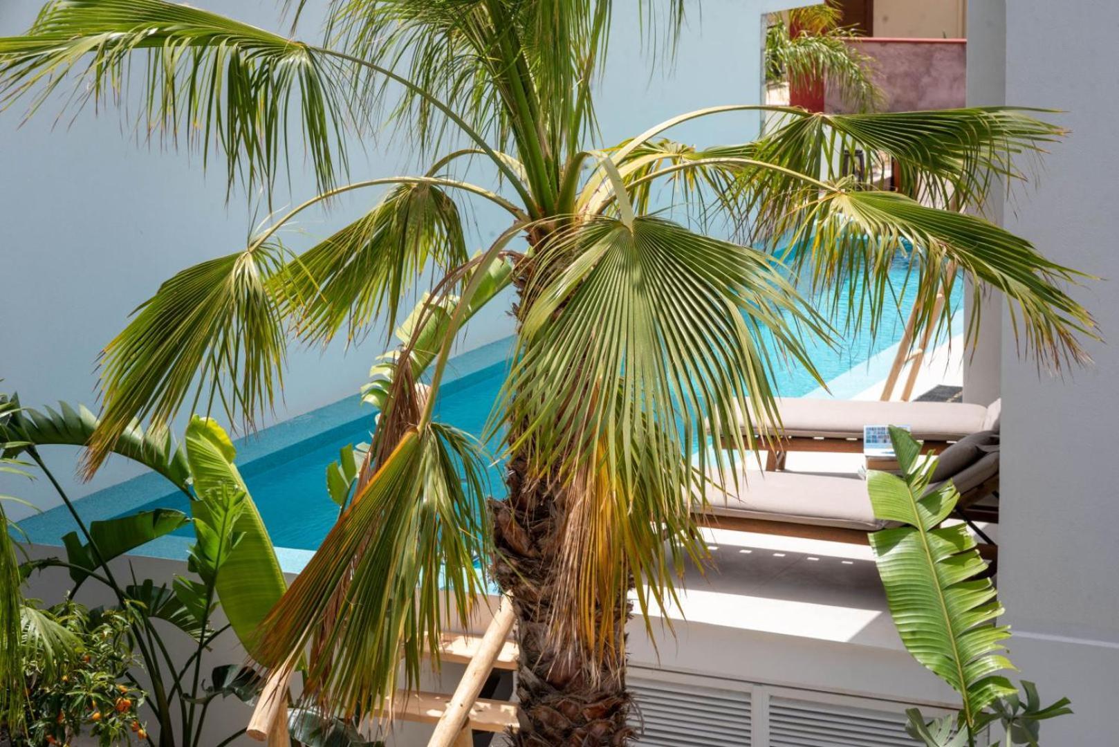 D Palm Premium Living - Kalathas, Chania ハニア エクステリア 写真